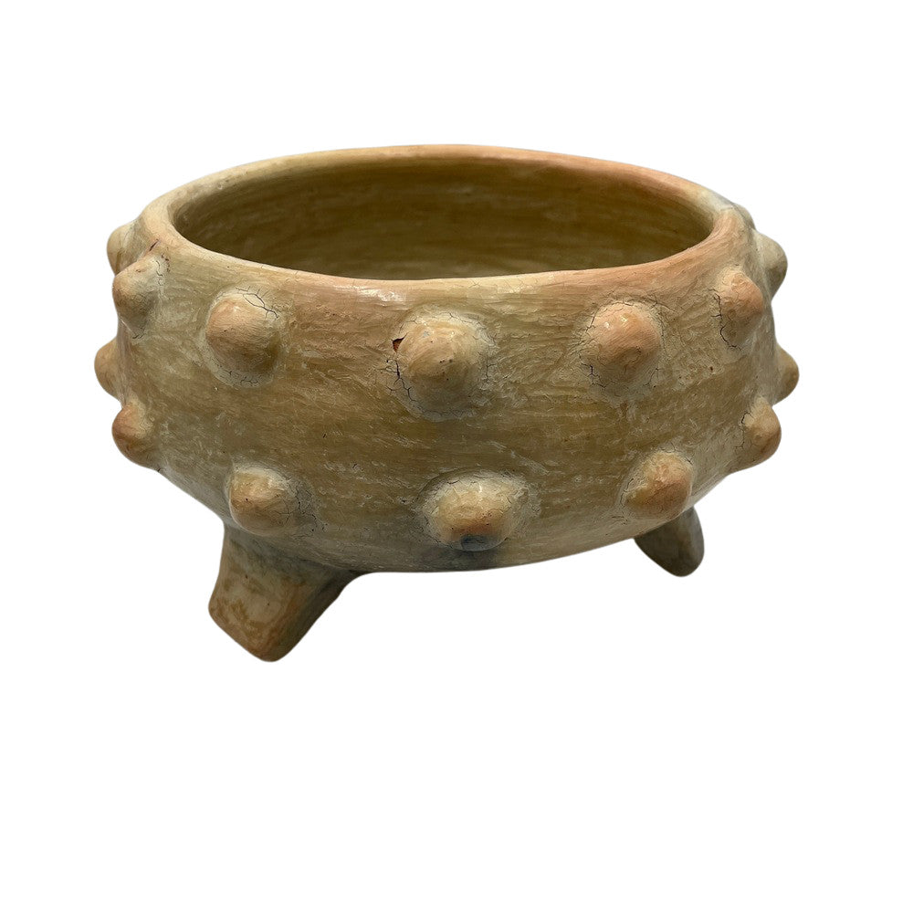 Sejnane Spiked Bowl - Berbere Imports