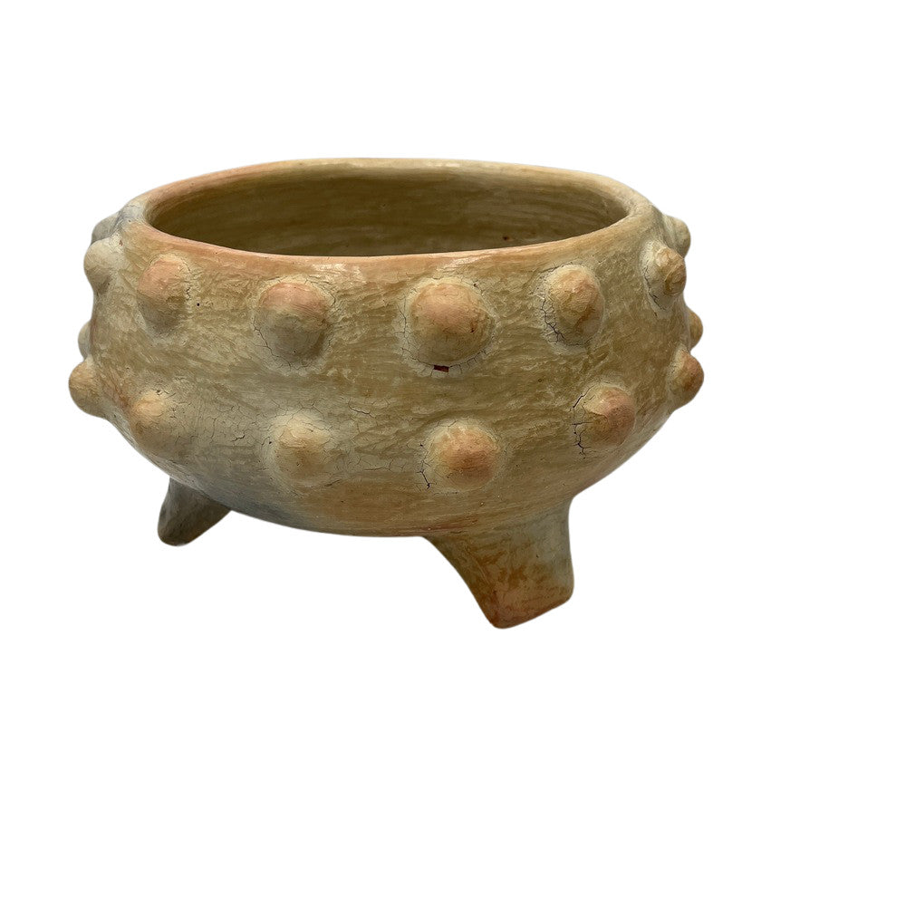 Sejnane Spiked Bowl - Berbere Imports