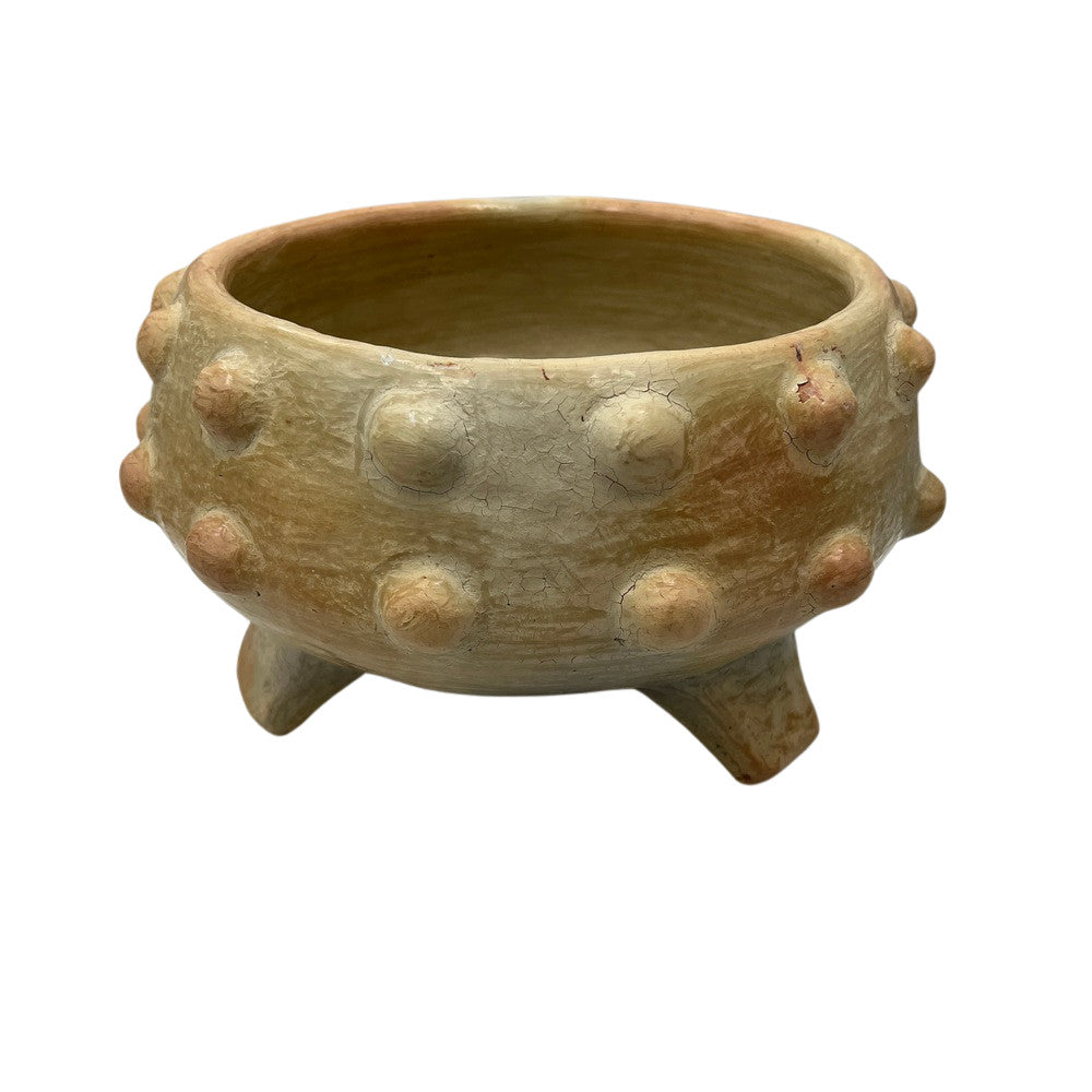 Sejnane Spiked Bowl - Berbere Imports