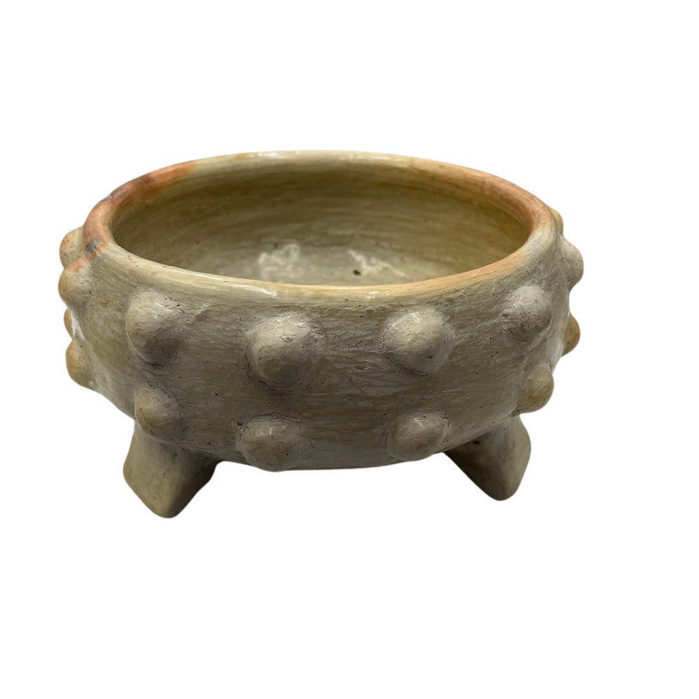 Sejnane Spiked Bowl - Berbere Imports