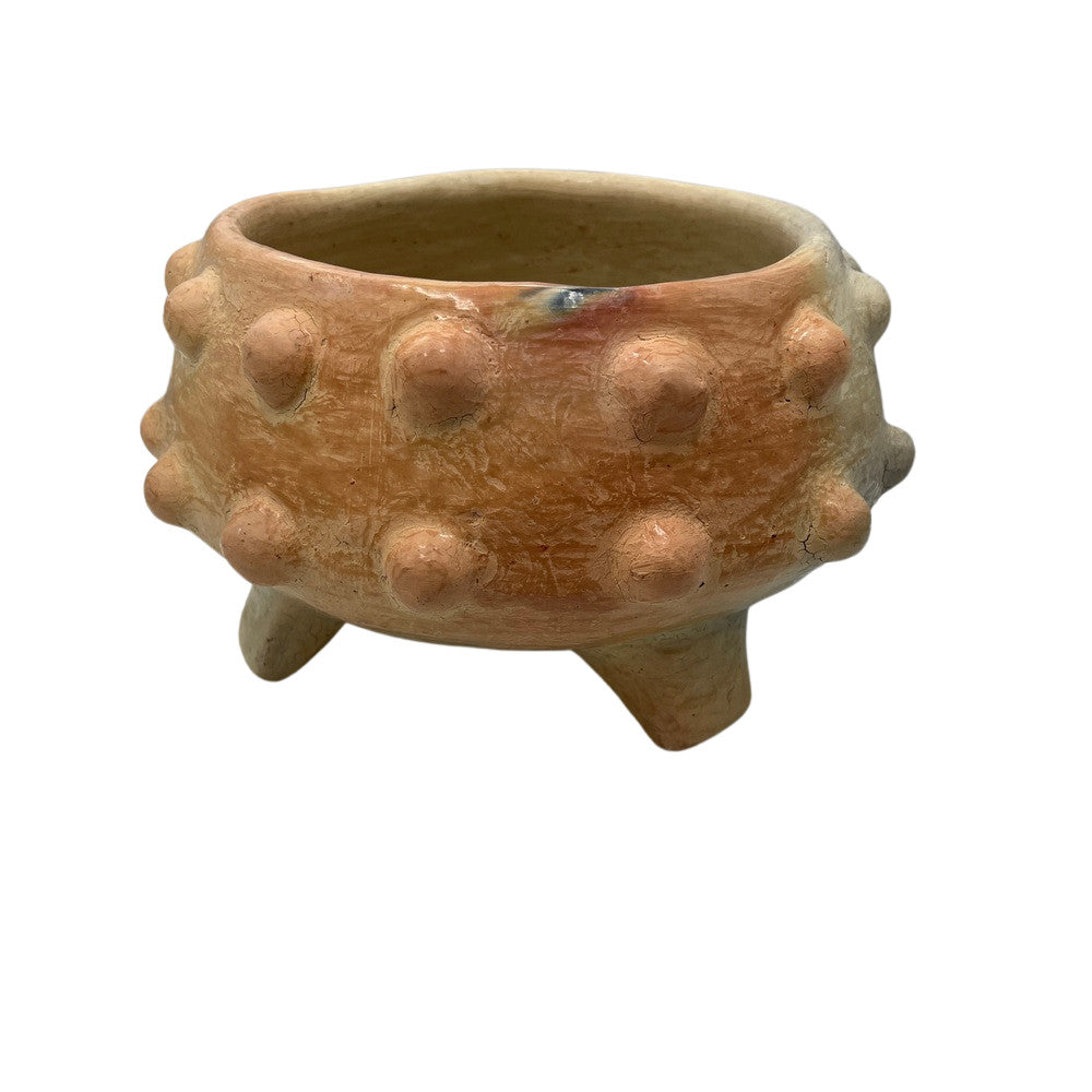 Sejnane Spiked Bowl - Berbere Imports