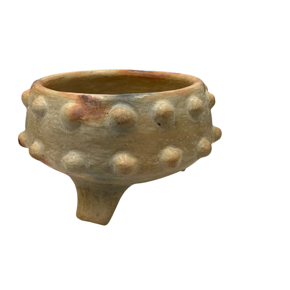 Sejnane Spiked Bowl - Berbere Imports