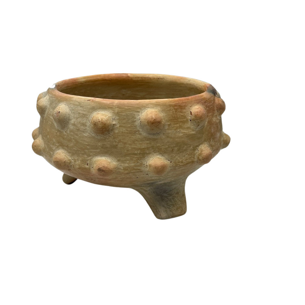 Sejnane Spiked Bowl - Berbere Imports