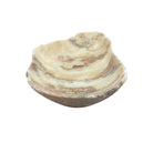 Onyx Bowl - Berbere Imports