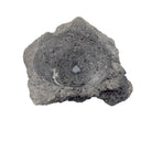 Indonesian Lava Rock Organic Bowl - Berbere Imports