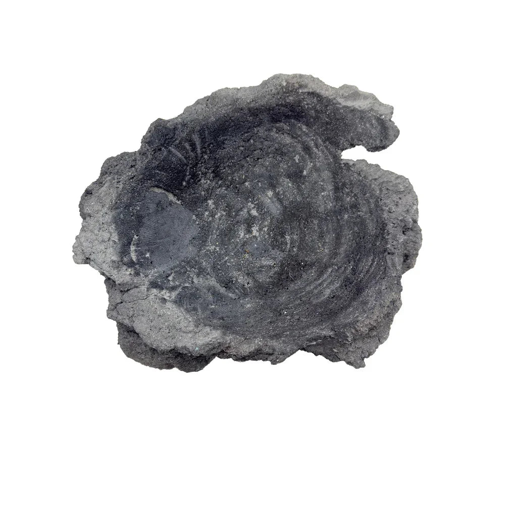 Indonesian Lava Rock Organic Bowl - Berbere Imports