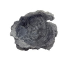 Indonesian Lava Rock Organic Bowl - Berbere Imports
