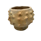 Sejnane Bumpy Pottery - Berbere Imports