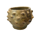 Sejnane Bumpy Pottery - Berbere Imports