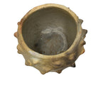 Sejnane Bumpy Pottery - Berbere Imports