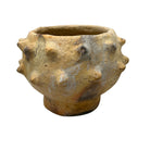 Sejnane Bumpy Pottery - Berbere Imports