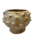 Sejnane Bumpy Pottery - Berbere Imports