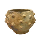 Sejnane Bumpy Pottery - Berbere Imports