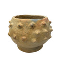 Sejnane Bumpy Pottery - Berbere Imports