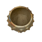 Sejnane Bumpy Pottery - Berbere Imports