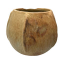 Sejnane Clay Vessel - Berbere Imports