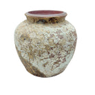 Vietnamese Small Vessel - Berbere Imports