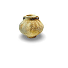 Antique Chinese Shipwrecked Vessel - Berbere Imports