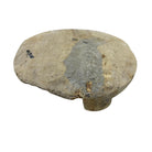 Vintage Indian Chapati Board - Berbere Imports