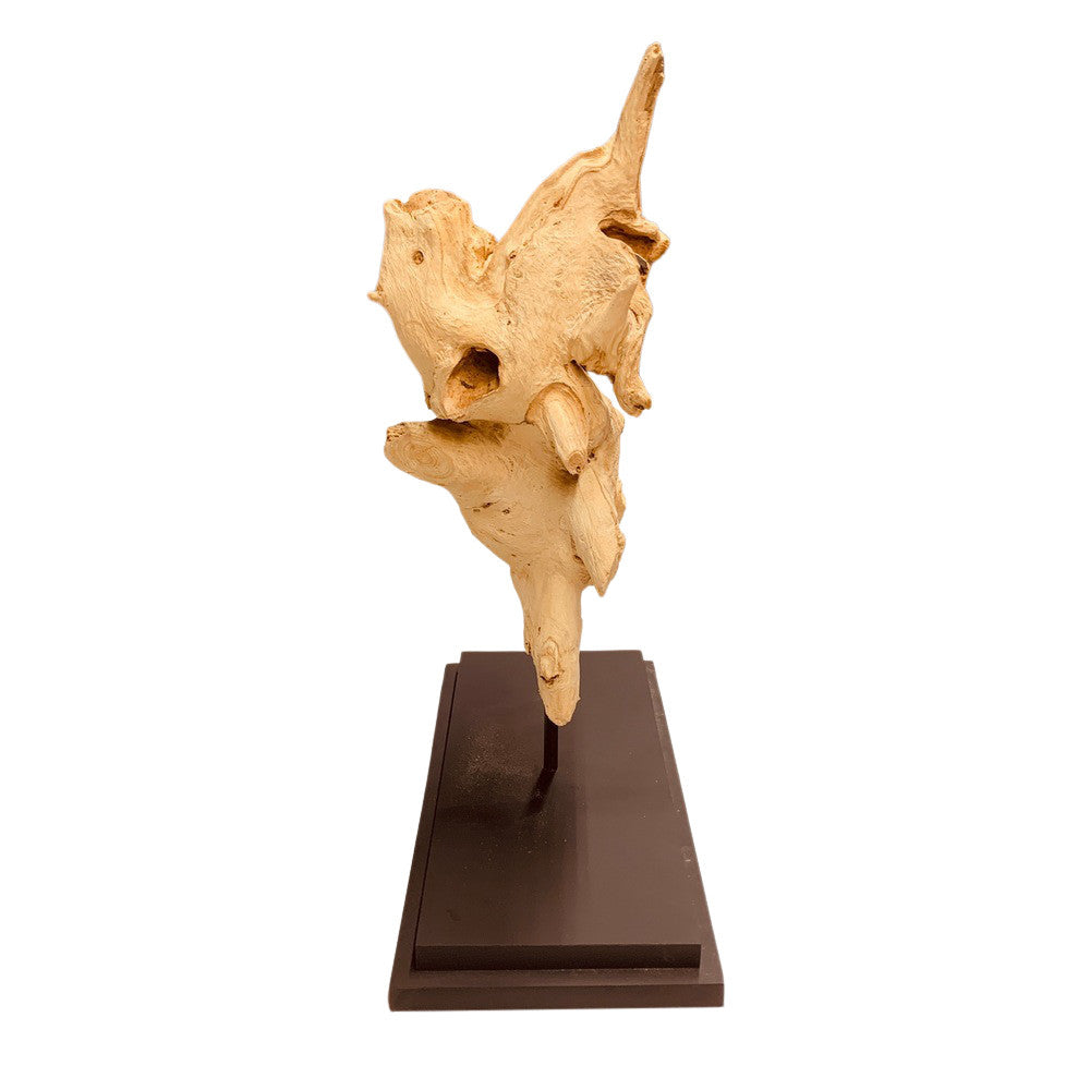 Bleached Teak Sculpture On Stand - Berbere Imports