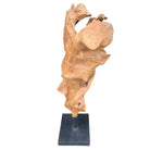 Teak Root Sculpture On Metal Base - Berbere Imports