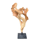 Teak Root Sculpture On Metal Base - Berbere Imports