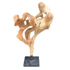 Teak Root Sculpture On Metal Base - Berbere Imports