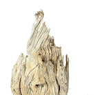 Thai Vine Sculpture On Metal Base - Berbere Imports