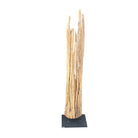 Antique Driftwood On Metal Stand - Berbere Imports