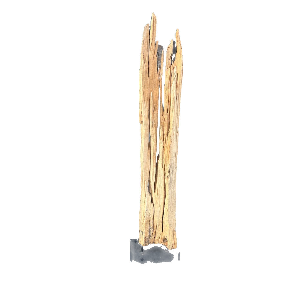 Antique Driftwood On Metal Stand - Berbere Imports