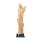 Antique Driftwood On Metal Stand - Berbere Imports