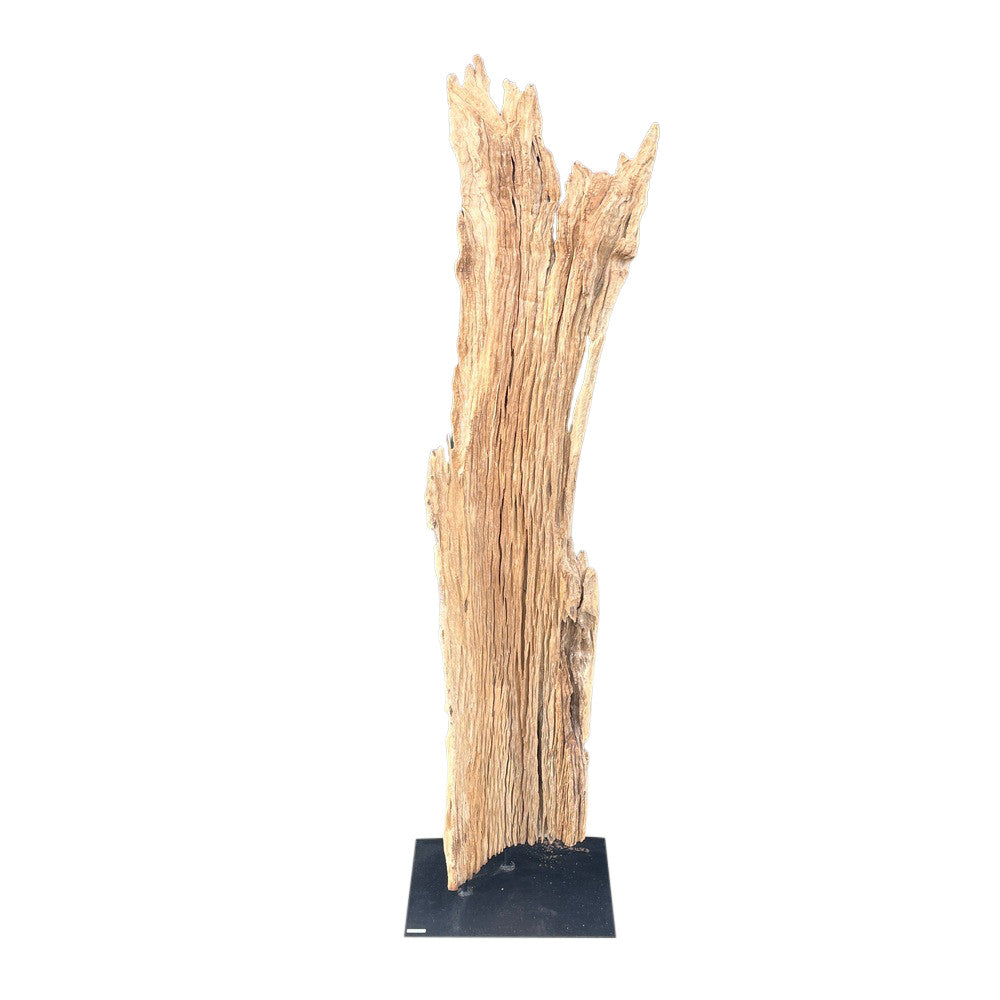 Antique Driftwood On Metal Stand - Berbere Imports