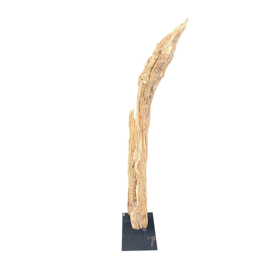 Antique Driftwood On Metal Stand - Berbere Imports