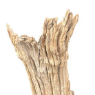 Antique Driftwood On Metal Stand - Berbere Imports