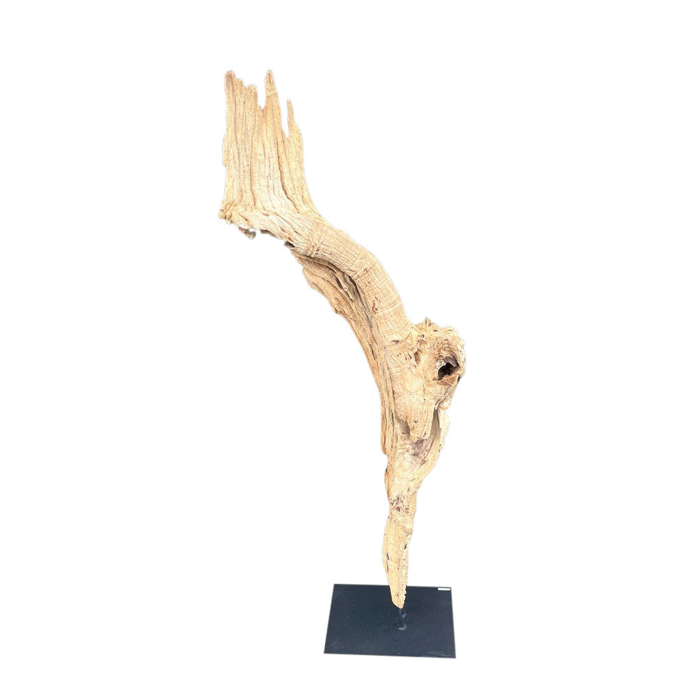 Antique Driftwood On Metal Stand - Berbere Imports