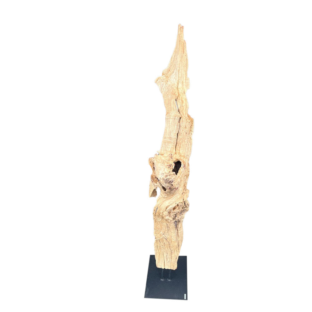 Antique Driftwood On Metal Stand - Berbere Imports