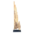 Antique Driftwood On Metal Stand - Berbere Imports