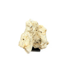 Indonesian Coral Stone On Teak Stand - Berbere Imports