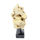 Indonesian Coral Stone On Teak Stand - Berbere Imports