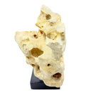 Indonesian Coral Stone On Teak Stand - Berbere Imports