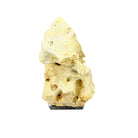 Indonesian Coral Stone On Teak Stand - Berbere Imports