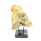 Indonesian Coral Stone On Teak Stand - Berbere Imports