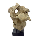 Indonesian Coral Stone On Teak Stand - Berbere Imports