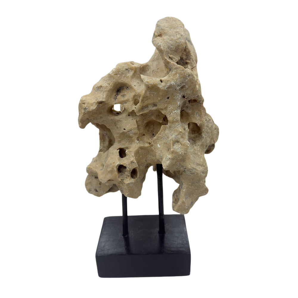 Indonesian Coral Stone On Teak Stand - Berbere Imports
