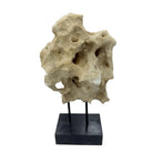Indonesian Coral Stone On Teak Stand - Berbere Imports