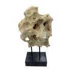 Indonesian Coral Stone On Teak Stand - Berbere Imports