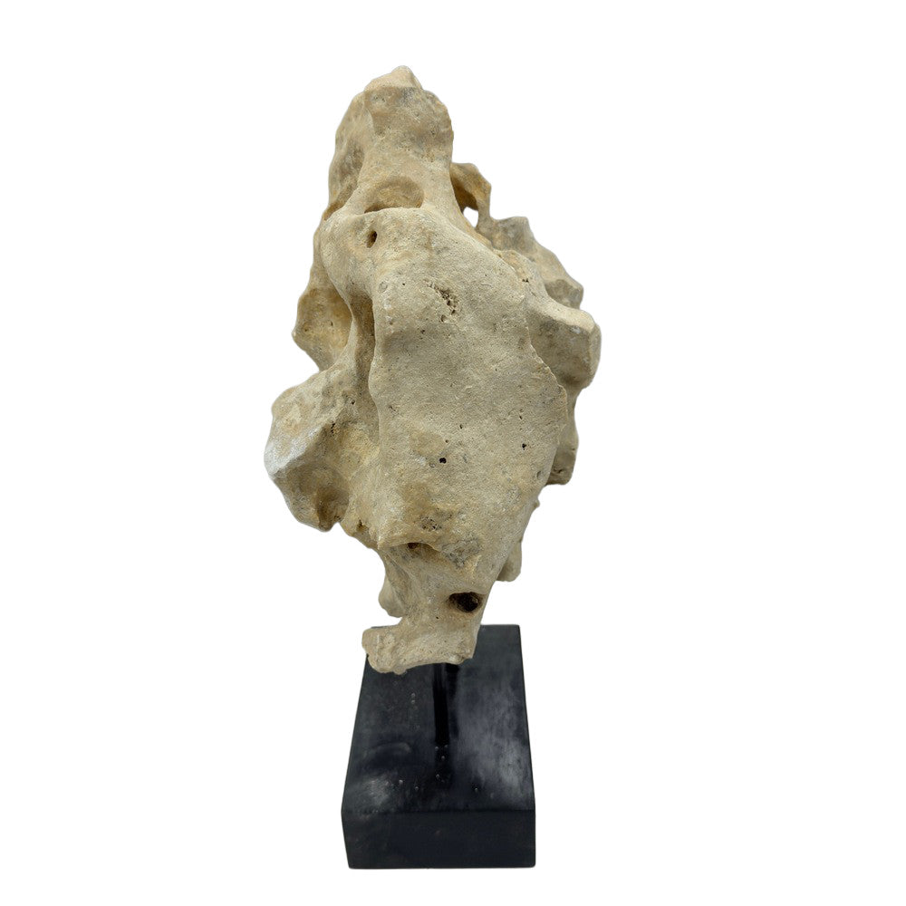 Indonesian Coral Stone On Teak Stand - Berbere Imports