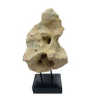 Indonesian Coral Stone On Teak Stand - Berbere Imports