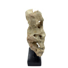 Indonesian Coral Stone On Teak Stand - Berbere Imports