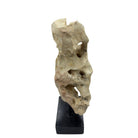 Indonesian Coral Stone On Teak Stand - Berbere Imports